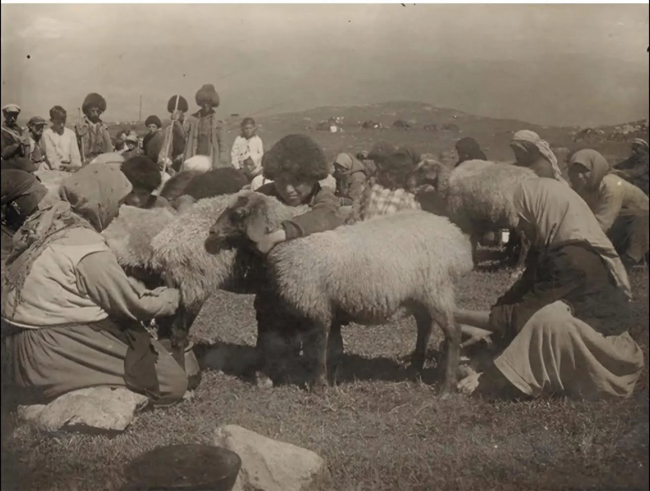 Կանայք ոչխար են կթում Օձունում, 1935