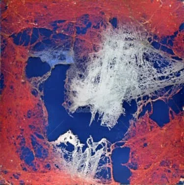 L'artiste Andranik Avetissian (Ado) · 4