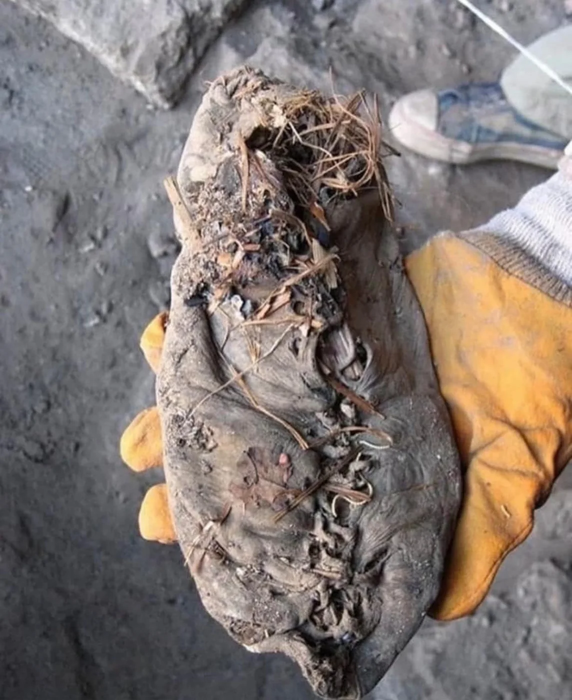 Chaussure en cuir chalcolithique de la grotte d'Aréni · 4