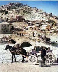 Կարսի անկումը, 1920